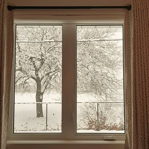 Meet your Posher, Selma